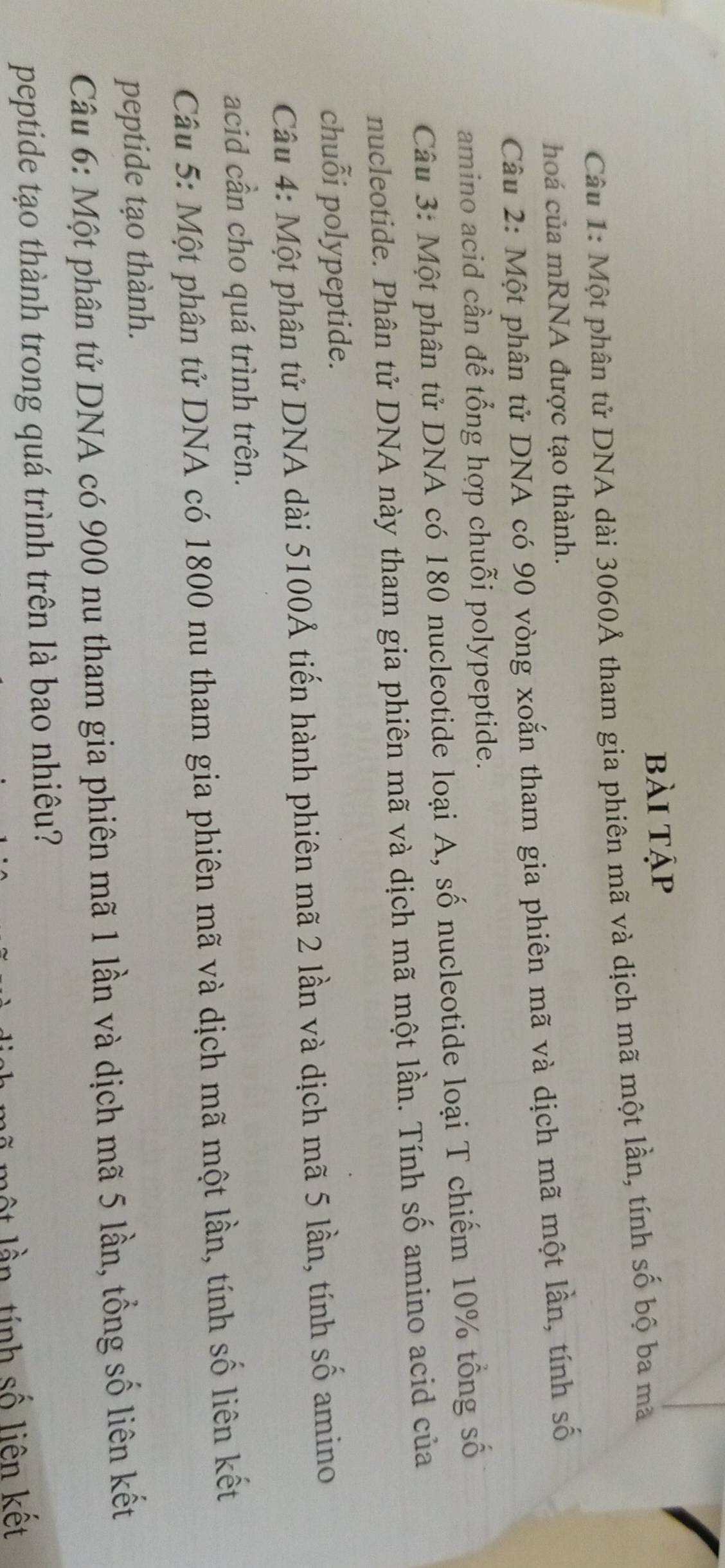 bài tập 
Câu 1: Một phân tử DNA dài 3060Å tham gia phiên mã và dịch mã một lần, tính số bộ ba ma 
hoá của mRNA được tạo thành. 
Câu 2: Một phân tử DNA có 90 vòng xoắn tham gia phiên mã và dịch mã một lần, tính số 
amino acid cần để tổng hợp chuỗi polypeptide. 
Câu 3: Một phân tử DNA có 180 nucleotide loại A, số nucleotide loại T chiếm 10% tổng số 
nucleotide. Phân tử DNA này tham gia phiên mã và dịch mã một lần. Tính số amino acid của 
chuỗi polypeptide. 
Câu 4: Một phân tử DNA dài 5100Ả tiến hành phiên mã 2 lần và dịch mã 5 lần, tính số amino 
acid cần cho quá trình trên. 
Câu 5: Một phân tử DNA có 1800 nu tham gia phiên mã và dịch mã một lần, tính số liên kết 
peptide tạo thành. 
Câu 6: Một phân tử DNA có 900 nu tham gia phiên mã 1 lần và dịch mã 5 lần, tổng số liên kết 
peptide tạo thành trong quá trình trên là bao nhiêu? 
ột lần tính số liên kết