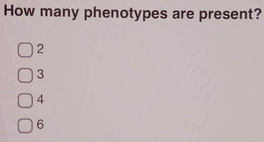 How many phenotypes are present?
2
3
4
6