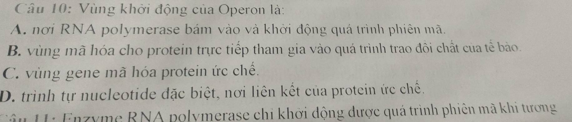 Vùng khởi động của Operon là:
A. nơi RNA polymerase bám vào và khởi động quá trình phiên mã.
B. vùng mã hóa cho protein trực tiếp tham gia vào quá trình trao đôi chất của tế bảo.
C. vùng gene mã hóa protein ức chế.
D. trình tự nucleotide đặc biệt, nơi liên kết của protein ức chế.
u 11: Enzyme RNA polymerase chi khởi động được quá trình phiên mã khi tương