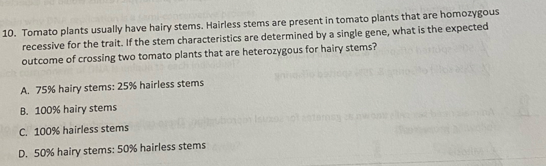 Tomato plants usually have hairy stems. Hairless stems are present in tomato plants that are homozygous
recessive for the trait. If the stem characteristics are determined by a single gene, what is the expected
outcome of crossing two tomato plants that are heterozygous for hairy stems?
A. 75% hairy stems: 25% hairless stems
B. 100% hairy stems
C. 100% hairless stems
D. 50% hairy stems: 50% hairless stems