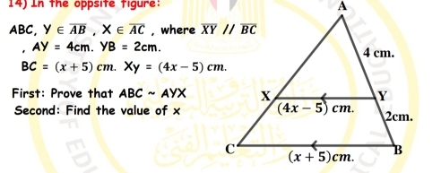 In the oppsite tigure:
ABC, y∈ overline AB,X∈ overline AC , where
AY=4cm.YB=2cm.
BC=(x+5)cm.Xy=(4x-5)cm.
First: Prove that ABCsim AYX
Second: Find the value of x