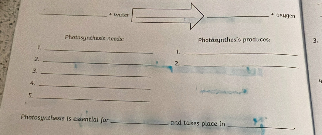 + water __+ oxygen 
Photosynthesis needs: Photosynthesis produces: 3. 
1._ 
1._ 
2._ 
' 2._ 
3._ 
4._ 
5._ 
Photosynthesis is essential for _and takes place in 
_ 
-.