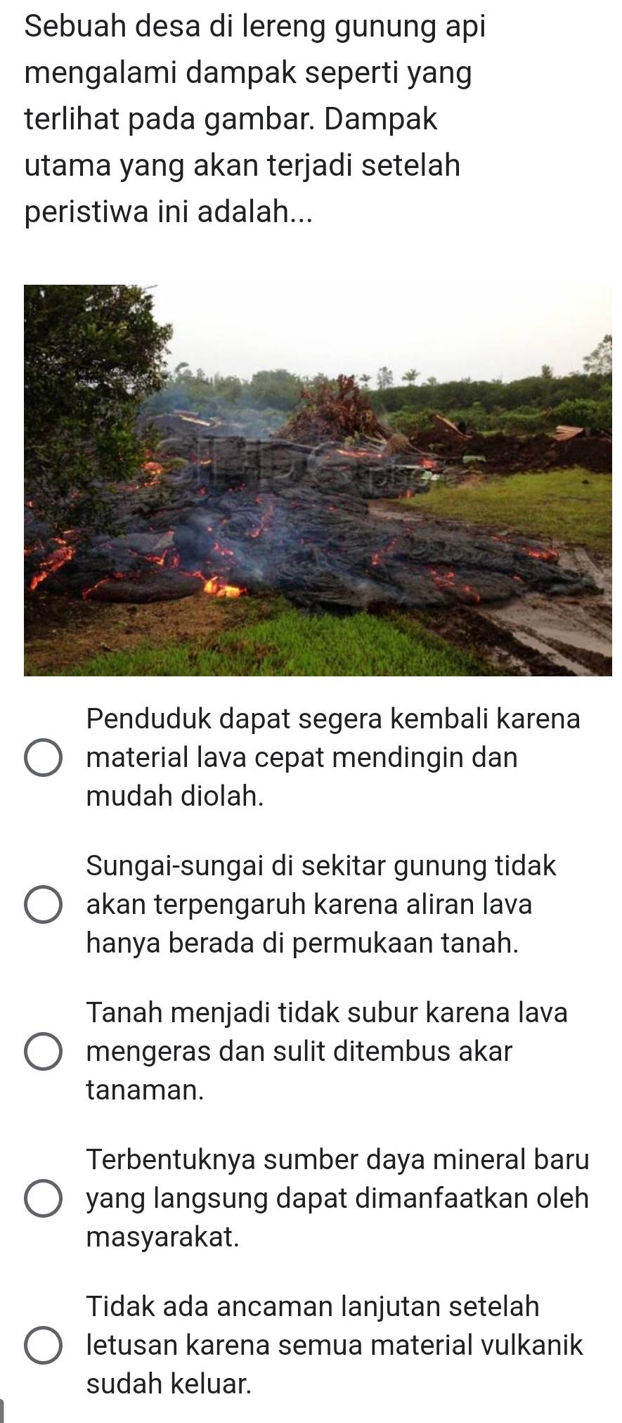 Sebuah desa di lereng gunung api
mengalami dampak seperti yang
terlihat pada gambar. Dampak
utama yang akan terjadi setelah
peristiwa ini adalah...
Penduduk dapat segera kembali karena
material lava cepat mendingin dan
mudah diolah.
Sungai-sungai di sekitar gunung tidak
akan terpengaruh karena aliran lava
hanya berada di permukaan tanah.
Tanah menjadi tidak subur karena lava
mengeras dan sulit ditembus akar
tanaman.
Terbentuknya sumber daya mineral baru
yang langsung dapat dimanfaatkan oleh
masyarakat.
Tidak ada ancaman lanjutan setelah
letusan karena semua material vulkanik
sudah keluar.