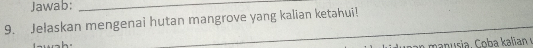 Jawab:_ 
9. Jelaskan mengenai hutan mangrove yang kalian ketahui!
n n a n u sia . C ob a kalian I