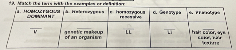 Match the term with th