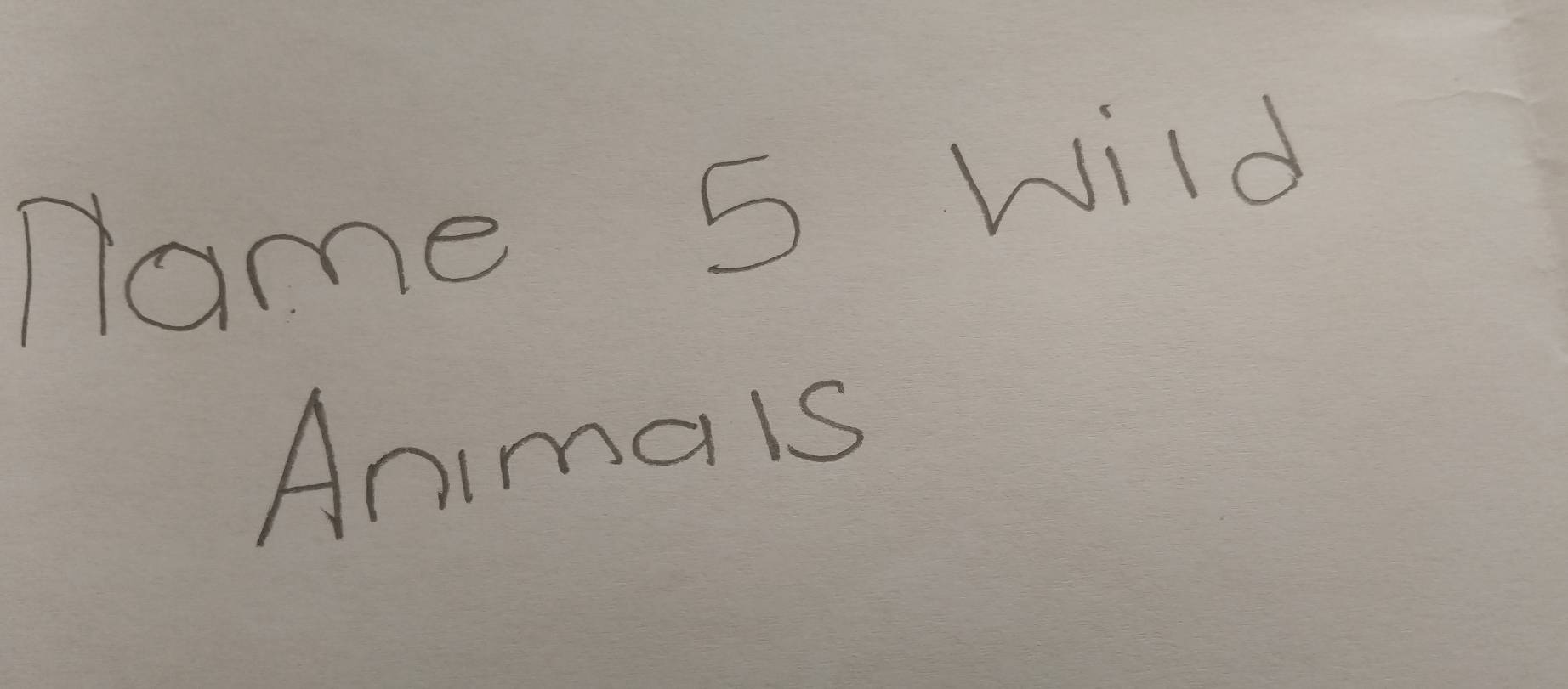 name 5 Wild 
Animals