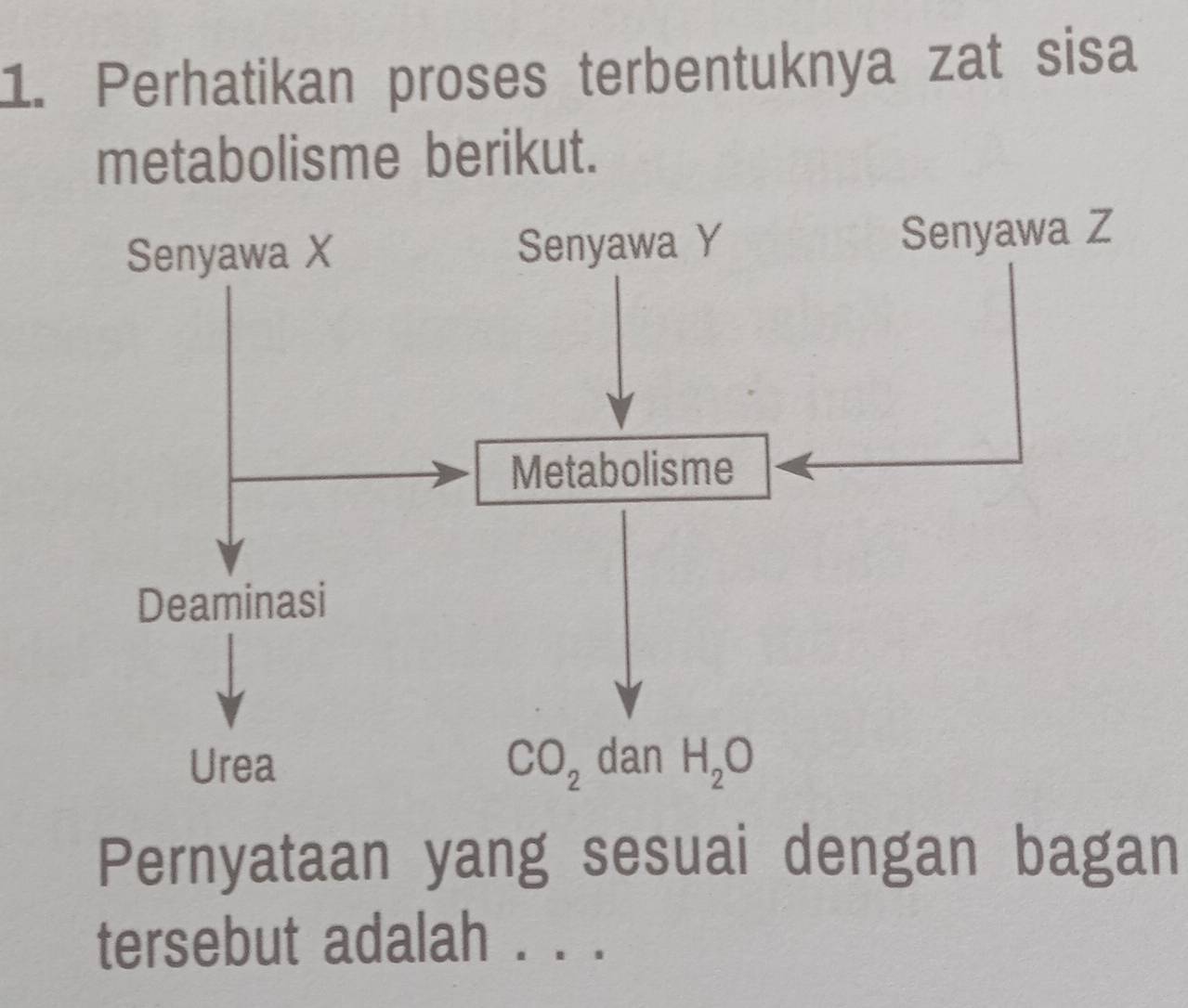 Perhatikan proses terbentuknya zat sisa
metabolisme berikut.
Pernyataan yang sesuai dengan bagan
tersebut adalah . . .