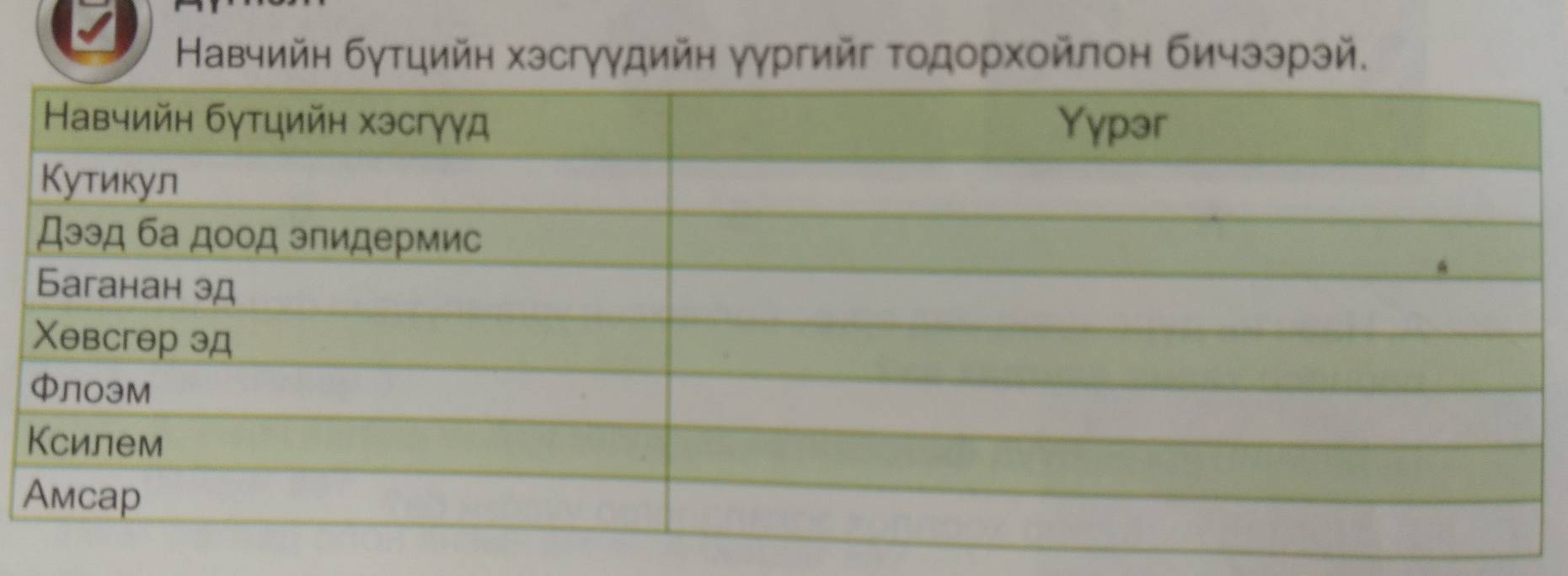 Навчийн бγτцийн хзсгγγдийн γγргийг τοдорхοйлон бичзэрэй.