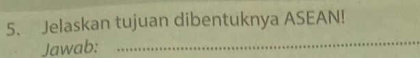 Jelaskan tujuan dibentuknya ASEAN! 
Jawab: 
_