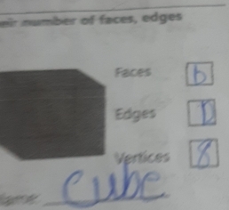 eir number of faces, edges 
ame_