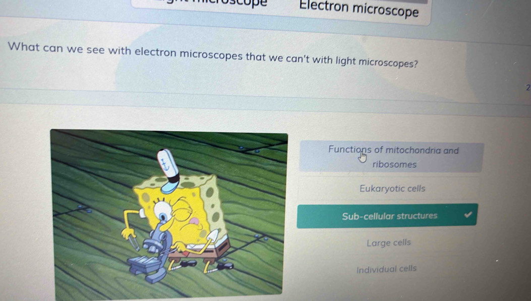 Electron microscope
What can we see with electron microscopes that we can't with light microscopes?
2
Functions of mitochondria and
ribosomes
Eukaryotic cells
Sub-cellular structures
Large cells
Individual cells