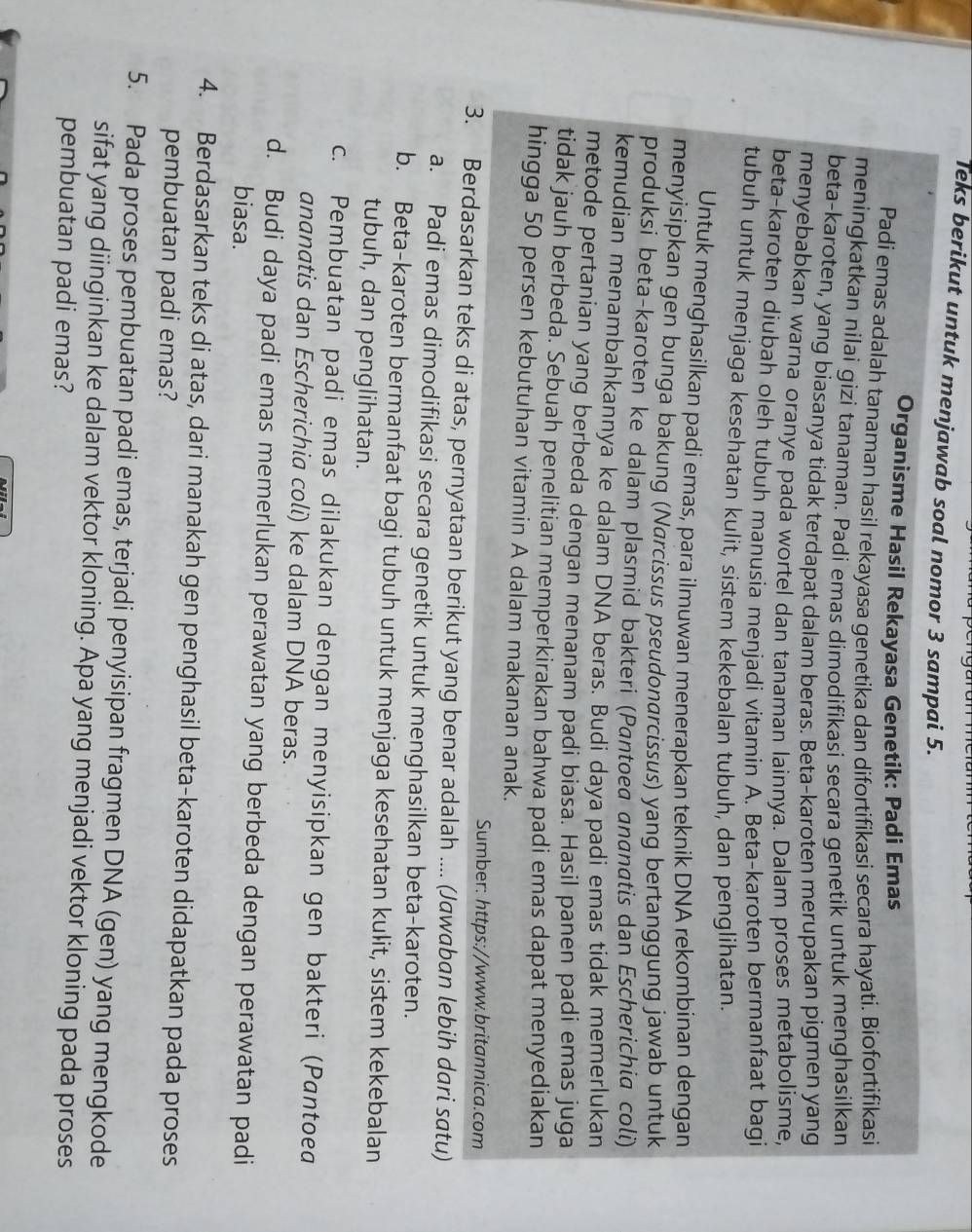 Teks berikut untuk menjawab soal nomor 3 sampai 5.
Organisme Hasil Rekayasa Genetik: Padi Emas
Padi emas adalah tanaman hasil rekayasa genetika dan difortifikasi secara hayati. Biofortifikasi
meningkatkan nilai gizi tanaman. Padi emas dimodifikasi secara genetik untuk menghasilkan
beta-karoten, yang biasanya tidak terdapat dalam beras. Beta-karoten merupakan pigmen yang
menyebabkan warna oranye pada wortel dan tanaman lainnya. Dalam proses metabolisme,
beta-karoten diubah oleh tubuh manusia menjadi vitamin A. Beta-karoten bermanfaat bagi
tubuh untuk menjaga kesehatan kulit, sistem kekebalan tubuh, dan penglihatan.
Untuk menghasilkan padi emas, para ilmuwan menerapkan teknik DNA rekombinan dengan
menyisipkan gen bunga bakung (Narcissus pseudonarcissus) yang bertanggung jawab untuk
produksi beta-karoten ke dalam plasmid bakteri (Pantoea ananatis dan Escherichia coli)
kemudian menambahkannya ke dalam DNA beras. Budi daya padi emas tidak memerlukan
metode pertanian yang berbeda dengan menanam padi biasa. Hasil panen padi emas juga
tidak jauh berbeda. Sebuah penelitian memperkirakan bahwa padi emas dapat menyediakan
hingga 50 persen kebutuhan vitamin A dalam makanan anak.
Sumber: https://www.britannica.com
3. Berdasarkan teks di atas, pernyataan berikut yang benar adalah .... (Jawaban lebih dari satu)
a. Padi emas dimodifikasi secara genetik untuk menghasilkan beta-karoten.
b. Beta-karoten bermanfaat bagi tubuh untuk menjaga kesehatan kulit, sistem kekebalan
tubuh, dan penglihatan.
c. Pembuatan padi emas dilakukan dengan menyisipkan gen bakteri (Pantoea
ananatis dan Escherichia coli) ke dalam DNA beras.
d. Budi daya padi emas memerlukan perawatan yang berbeda dengan perawatan padi
biasa.
4. Berdasarkan teks di atas, dari manakah gen penghasil beta-karoten didapatkan pada proses
pembuatan padi emas?
5. Pada proses pembuatan padi emas, terjadi penyisipan fragmen DNA (gen) yang mengkode
sifat yang diinginkan ke dalam vektor kloning. Apa yang menjadi vektor kloning pada proses
pembuatan padi emas?