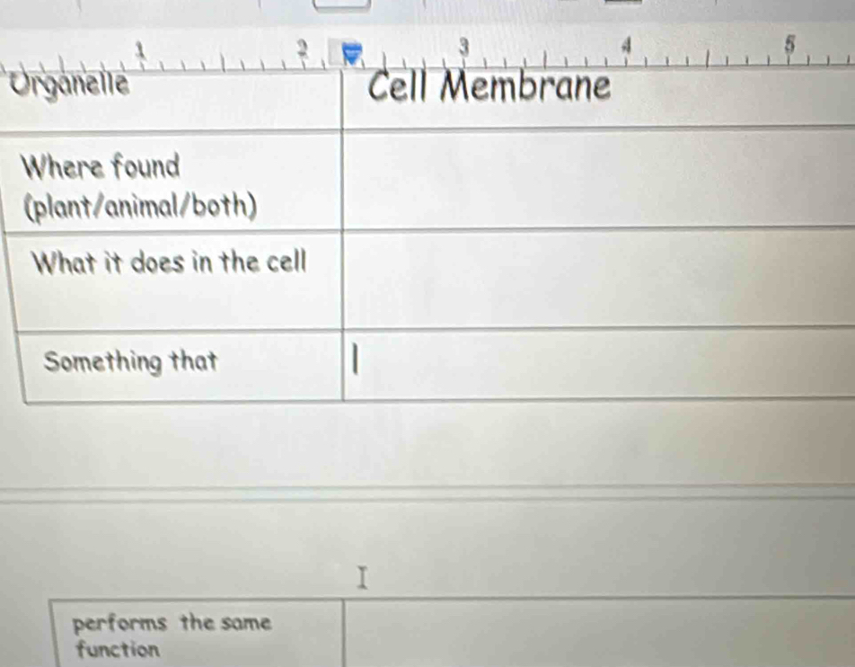 performs the same
function