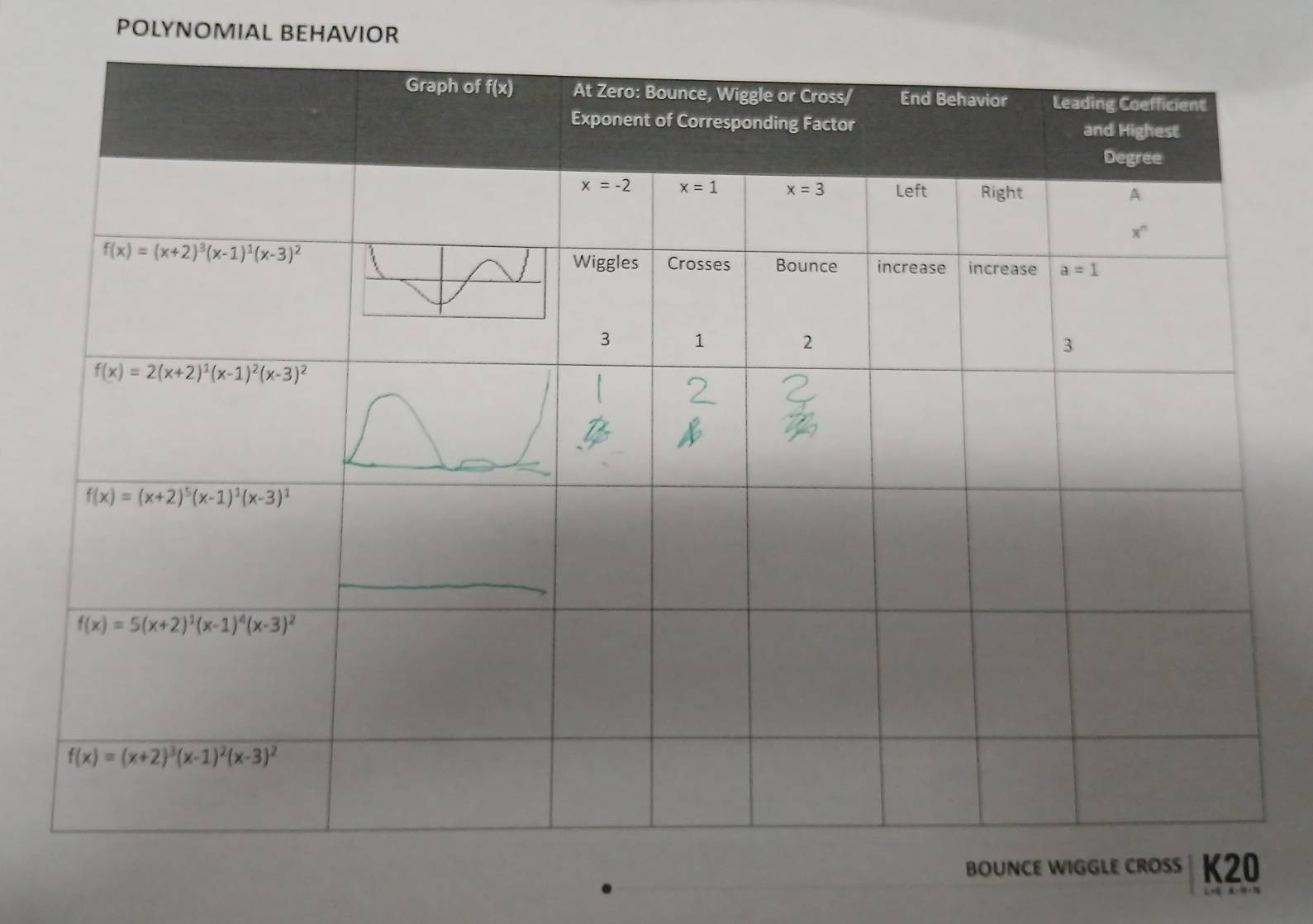 POLYNOMIAL BEHAVIOR