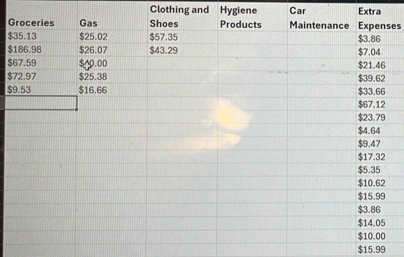 Clothing and Hygiene Car Extra 
Ges
$
$
$
$
$
$15.99