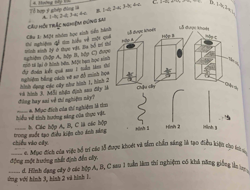 Hướng tiếp xức
Tổ hợp ý ghép đúng là
B. 1-d; 2-a; 3-b; 4 -c. C. 1-a; 2-0, 3-a, +c D.
A. 1-b; 2-d; 3-a; 4-c.
CÂU HỘI TRẬC NGHIỆM ĐÚNG SAI 1-b, 2-a, 3
Câu 1: Một nhóm học sinh tiến hành
Lỗ được khoét
Hộp B Hộp C
thí nghiệm đễ tìm hiều về một quá Lỗ được khoét
trình sinh lý ở thực vật. Ba bố trí thí Hộp A
nghiệm (hộp A, hộp B, hộp C) được
tô tả lại ở hình bên. Một bạn học sinh
Tấm chỉ
dự đoán kết quả sau 1 tuần làm thí
nghiệm bằng cách vẽ sơ đồ minh họa
hình dạng các cây như hình 1, hình 2 a
và hình 3. Mỗi nhận định sau đây là Chậu cây
Chậu cây
đúng hay sai về thí nghiệm này?
_a. Mục đích của thí nghiệm là tìm
hiểu về tính hướng sáng của thực vật.
b. Các hộp A, B, C là các hộp
trong suốt tạo điều kiện cho ánh sáng Hình 1 Hình 2 Hình 3
chiếu vào cây.
_c. Mục đích của việc bố trí các lỗ được khoét và tấm chấn sáng là tạo điều kiện cho ánh sảy
động một hướng nhất định đến cây.
_d. Hình dạng cây ở các hộp A, B, C sau 1 tuần làm thí nghiệm có khả năng giống lần lượ t
ứng với hình 3, hình 2 và hình 1.