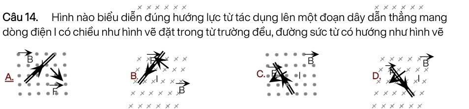 * * * * *
Câu 14. Hình nào biểu diễn đúng hướng lực từ tác dụng lên một đoạn dây dẫn thẳng mang
dòng điện I có chiều như hình vẽ đặt trong từ trường đều, đường sức từ có hướng như hình vẽ
B
× * *
* * * * x
* *
* * *
A.
B.
C.
D.
x^1x
xx