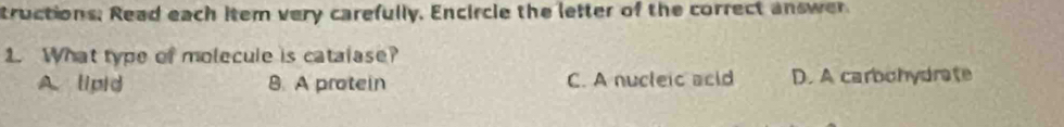 tructions. Read each item very carefully. Encircle the letter of the correct answer
1. What type of molecule is catalase?
A. lipid 8. A protein C. A nucleic acld D. A carbohydrate