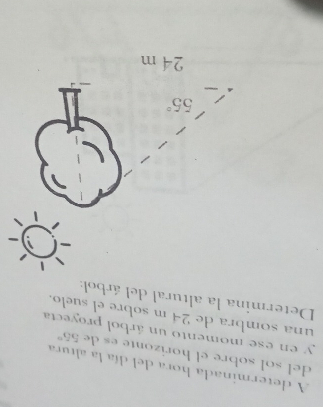 A determinada hora del día la altura 
del sol sobre el horizonte es de 55°
y en ese momento un árbol proyecta 
una sombra de 24 m sobre el suelo. 
Determina la altural del árbol:
55°
24 m