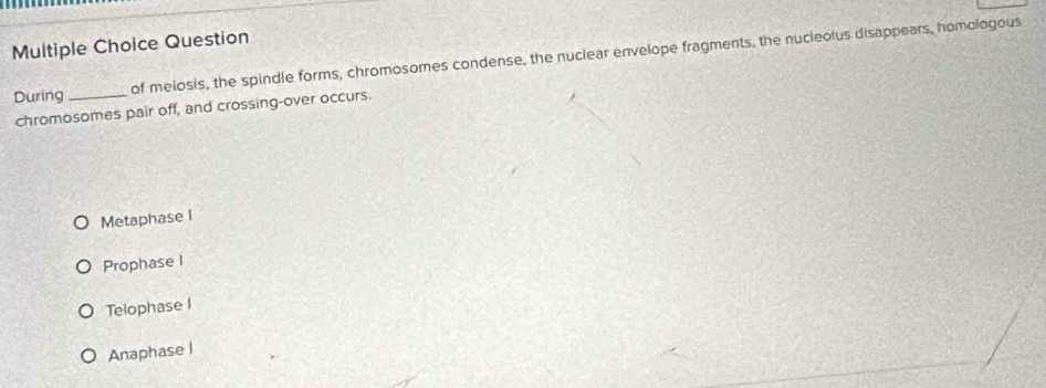 Question
During _of melosis, the spindle forms, chromosomes condense, the nuclear envelope fragments, the nucleolus disappears, homologous
chromosomes pair off, and crossing-over occurs.
Metaphase l
Prophase I
Telophase I
Anaphase I