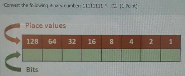 Convert the following Binary number: 111 11111 * (1 Point) 
Place values 
Bits