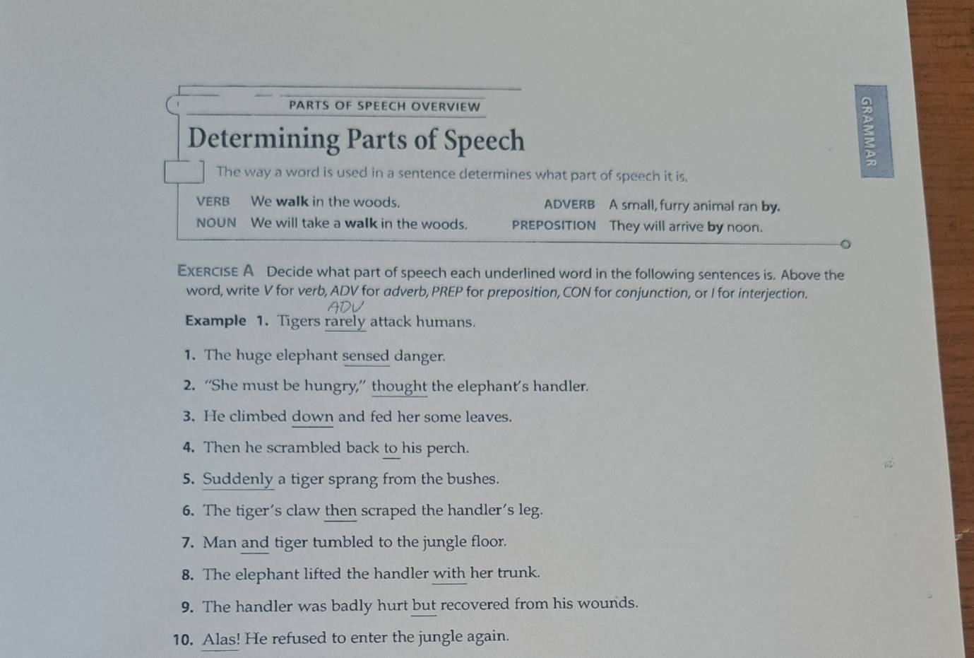 PARTS OF SPEECH OVERVIEW 
Determining Parts of Speech 
ξ 
The way a word is used in a sentence determines what part of speech it is. 
VERB We walk in the woods. ADVERB A small, furry animal ran by. 
NOUN We will take a walk in the woods. PREPOSITION They will arrive by noon. 
ExERCISE A Decide what part of speech each underlined word in the following sentences is. Above the 
word, write V for verb, ADV for adverb, PREP for preposition, CON for conjunction, or I for interjection. 
Example 1. Tigers rarely attack humans. 
1. The huge elephant sensed danger. 
2. “She must be hungry,” thought the elephant’s handler. 
3. He climbed down and fed her some leaves. 
4. Then he scrambled back to his perch. 
5. Suddenly a tiger sprang from the bushes. 
6. The tiger’s claw then scraped the handler's leg. 
7. Man and tiger tumbled to the jungle floor. 
8. The elephant lifted the handler with her trunk. 
9. The handler was badly hurt but recovered from his wounds. 
10. Alas! He refused to enter the jungle again.