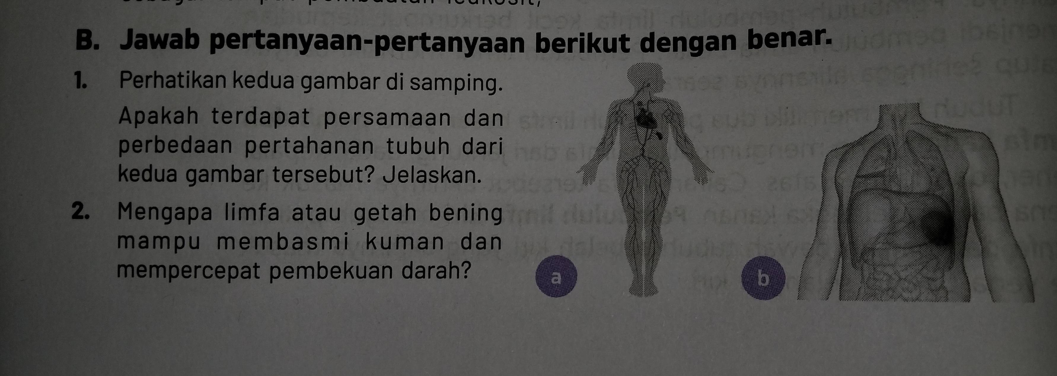 Jawab pertanyaan-pertanyaan berikut dengan benar. 
1. Perhatikan kedua gambar di samping. 
Apakah terdapat persamaan dan 
perbedaan pertahanan tubuh dari 
kedua gambar tersebut? Jelaskan. 
2. Mengapa limfa atau getah bening 
mampu membasmi kuman dan 
mempercepat pembekuan darah? 
a