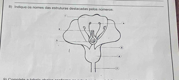 Indique os nomes das estruturas destacadas pelos números: