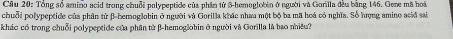 Tổng số amino acid trong chuỗi polypeptide của phân tử β -hemoglobin ở người và Gorilla đều bằng 146. Gene mã hoá 
chuỗi polypeptide của phân tử β -hemoglobin ở người và Gorilla khác nhau một bộ ba mã hoá có nghĩa. Số lượng amino acid sai 
khác có trong chuỗi polypeptide của phân tử β -hemoglobin ở người và Gorilla là bao nhiêu?