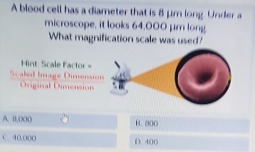 A blood cell has a diameter that is 8 μm long. Under a
microscope, it looks 64,000 μm long
What magnification scale was used?
Mint: Scale Factor -
Scaled Image Dimensio
Original Dimension
A. 8,000 B. 800
C. 40,000 D. 400