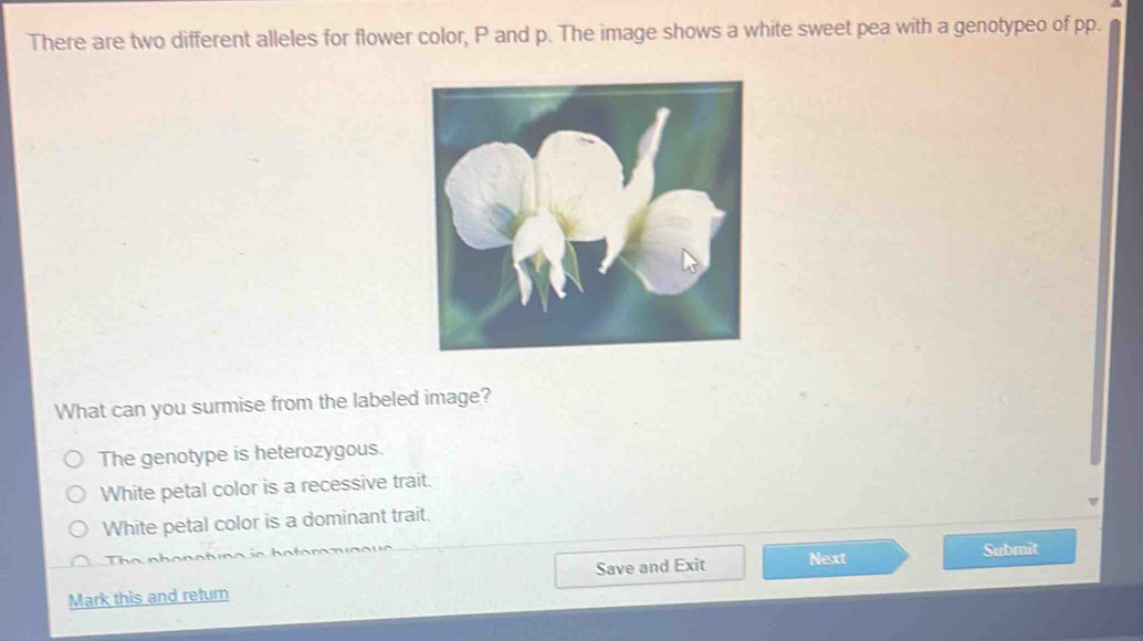 Solved: There are two different alleles for flower color, P and p. The ...