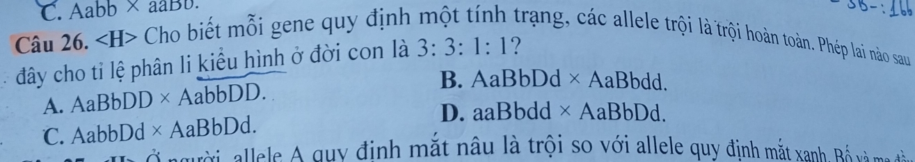 C. Aabb* aabo*
Câu 2 6. ∠ H> Cho biết mỗi gene quy định trang, các allele trội là trội hoàn toàn. Phép lai nào sau
đây cho tỉ lệ phân li kiểu hình ở đời con là 3:3:1:1 ?
A. AaBbDD* AabbDD. B. AaBbDd* AaBbdd.
C. AabbDd* AaBbDd. D. aaBbdd* AaBbDd. 
r r al e g y định mắt nâu là trội so với allele quy định mắt xanh B v