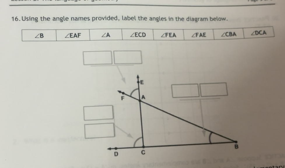 Solved: Using the angle names provided, label the angles in the diagram ...