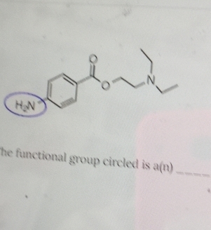 he functional group circled is . a(n) _