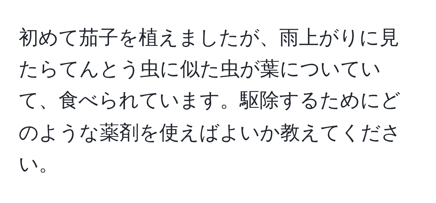 初めて茄子を植えましたが、雨上がりに見たらてんとう虫に似た虫が葉についていて、食べられています。駆除するためにどのような薬剤を使えばよいか教えてください。