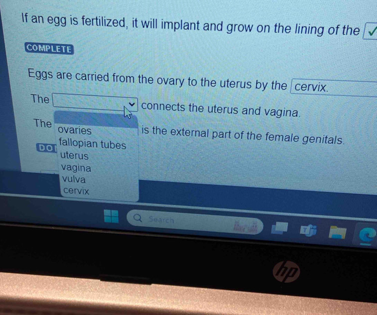 If an egg is fertilized, it will implant and grow on the lining of the
COMPLETE
Eggs are carried from the ovary to the uterus by the cervix.
The frac 2x+10x _  connects the uterus and vagina.
The ovaries is the external part of the female genitals.
DO fallopian tubes
uterus
vagina
vulva
cervix
Search