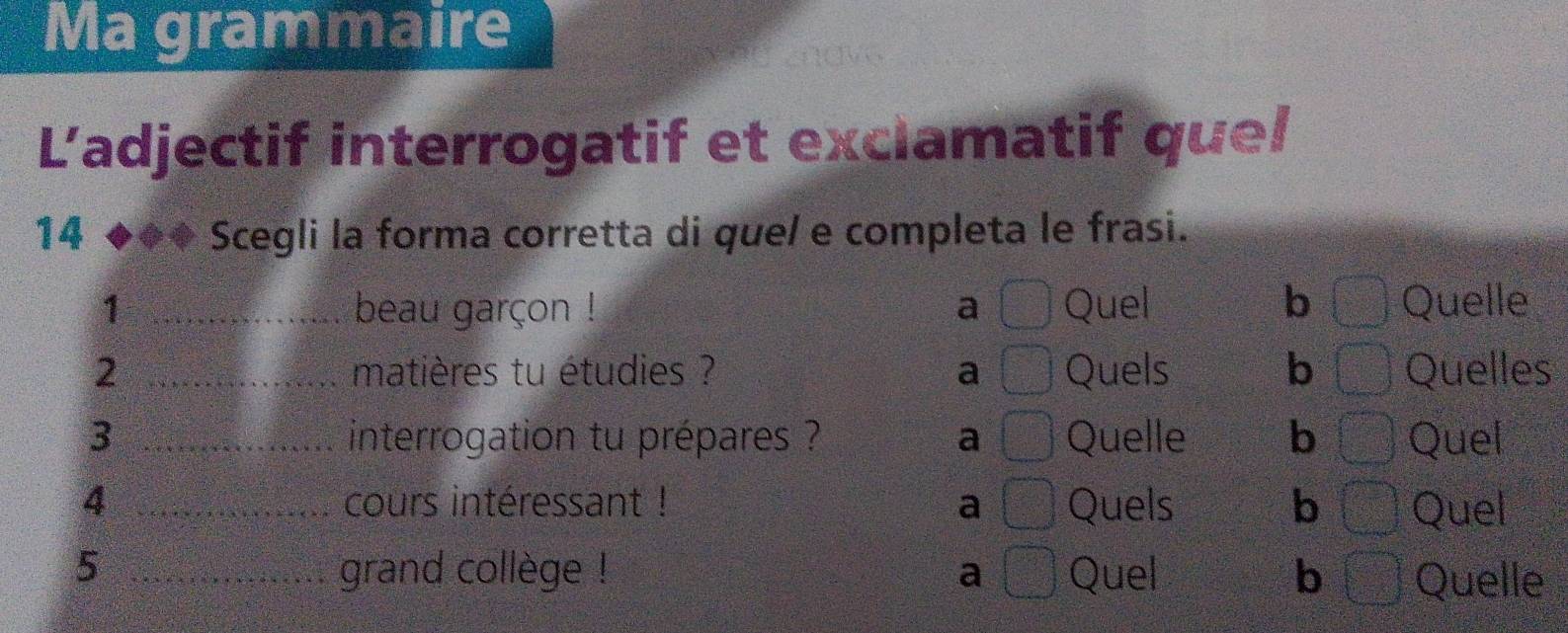 Ma grammaire
L'adjectif interrogatif et exclamatif que!
14 Scegli la forma corretta di que/ e completa le frasi.
1 _beau garçon ! a □ Quel b □ Quelle
2 _matières tu étudies ? a y=□° Quels b x^(-1)x0.5- sqrt(1)/sqrt(2) =frac  Quelles
3 _interrogation tu prépares ? a □ Quelle b 4= Quel
4 _cours intéressant ! a □ Quels b frac C_n(C_n)^n=□ Quel
5 _grand collège ! a □ Quel b t=□ □  Quelle