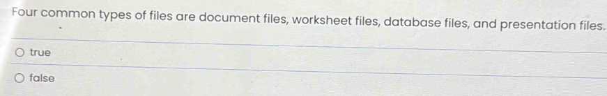 Solved: Four common types of files are document files, worksheet files ...