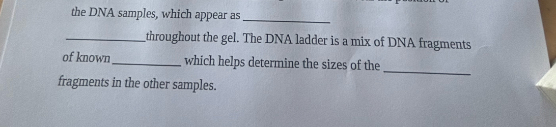 Solved: the DNA samples, which appear as_ _throughout the gel. The DNA ...