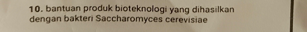 bantuan produk bioteknologi yang dihasilkan 
dengan bakteri Saccharomyces cerevisiae