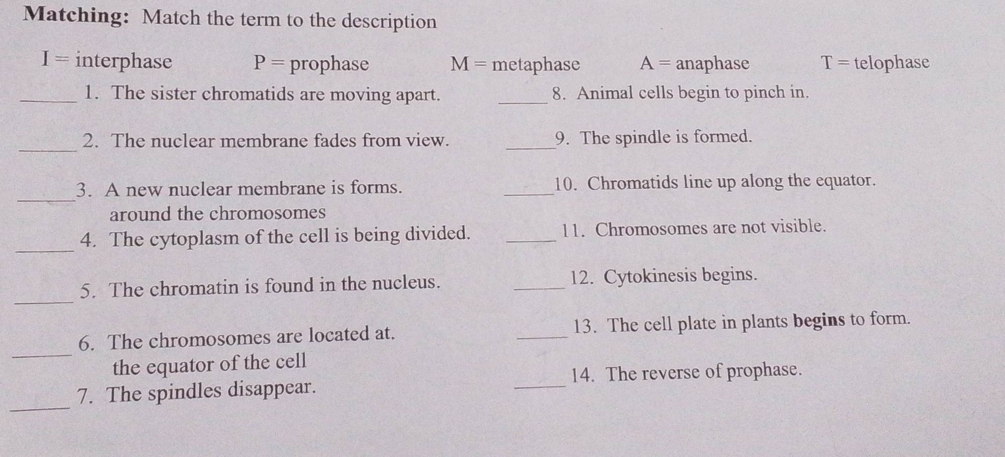 Matching: Match the term to the description
I= interphase P= prophase M= metaphase A= anaphase T= telophase
_1. The sister chromatids are moving apart. _8. Animal cells begin to pinch in.
_
2. The nuclear membrane fades from view. _9. The spindle is formed.
_
3. A new nuclear membrane is forms. _10. Chromatids line up along the equator.
around the chromosomes
_4. The cytoplasm of the cell is being divided. _11. Chromosomes are not visible.
_
5. The chromatin is found in the nucleus. _12. Cytokinesis begins.
_
6. The chromosomes are located at. _13. The cell plate in plants begins to form.
_
the equator of the cell
14. The reverse of prophase.
_
7. The spindles disappear.