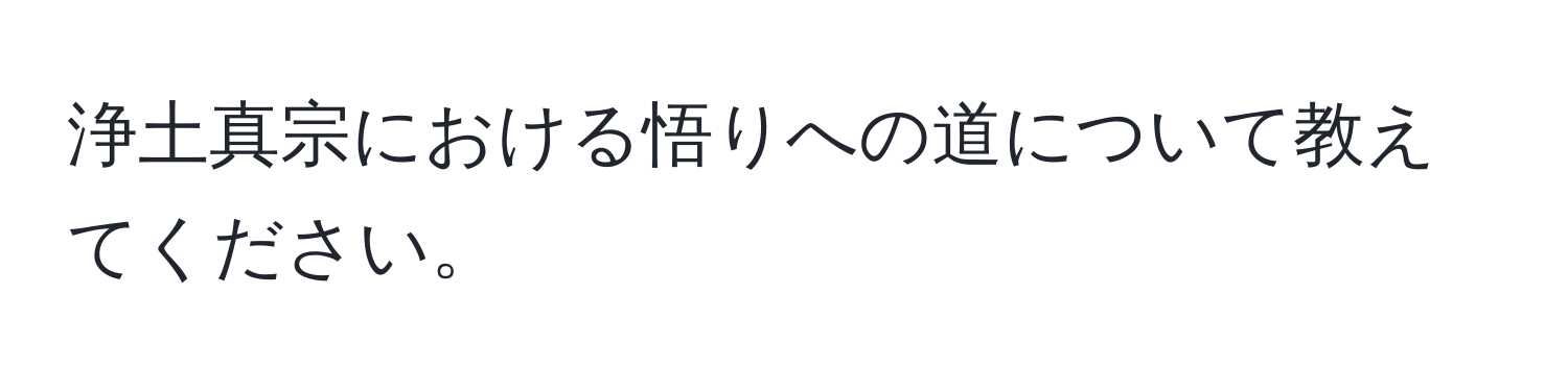 浄土真宗における悟りへの道について教えてください。