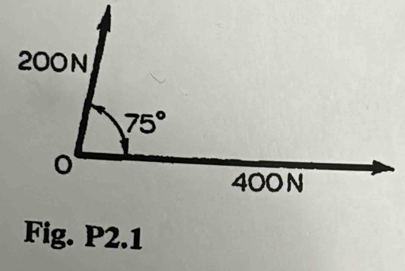 Fig. P2.1