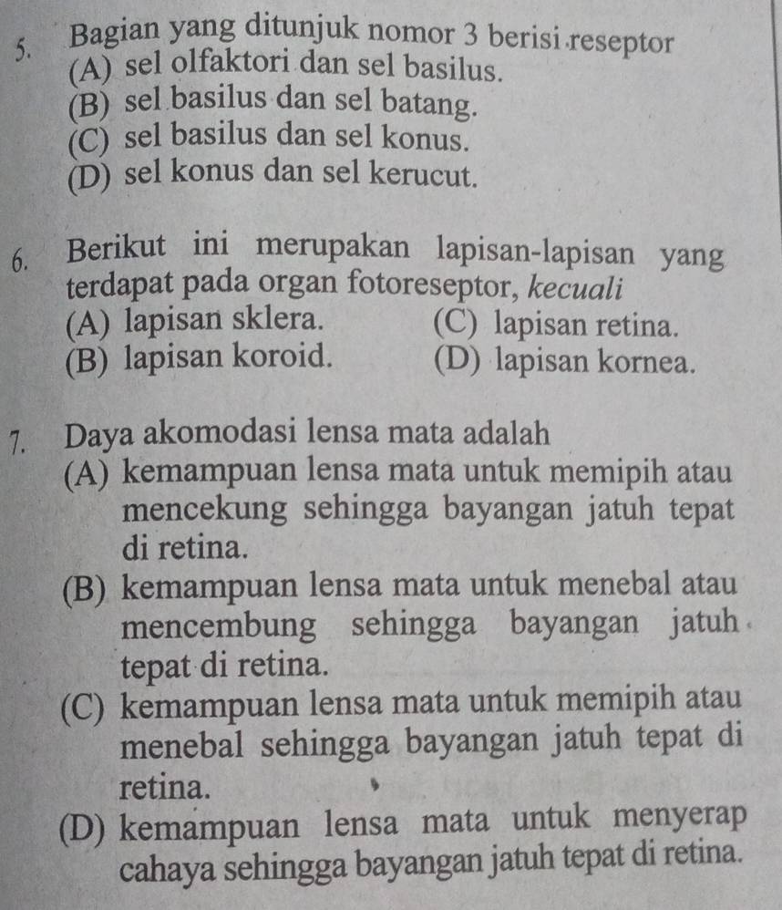 Bagian yang ditunjuk nomor 3 berisi reseptor
(A) sel olfaktori dan sel basilus.
(B) sel basilus dan sel batang.
(C) sel basilus dan sel konus.
(D) sel konus dan sel kerucut.
6. Berikut ini merupakan lapisan-lapisan yang
terdapat pada organ fotoreseptor, kecuali
(A) lapisan sklera. (C) lapisan retina.
(B) lapisan koroid. (D) lapisan kornea.
7. Daya akomodasi lensa mata adalah
(A) kemampuan lensa mata untuk memipih atau
mencekung sehingga bayangan jatuh tepat
di retina.
(B) kemampuan lensa mata untuk menebal atau
mencembung sehingga bayangan jatuh
tepat di retina.
(C) kemampuan lensa mata untuk memipih atau
menebal sehingga bayangan jatuh tepat di
retina.
(D) kemampuan lensa mata untuk menyerap
cahaya sehingga bayangan jatuh tepat di retina.