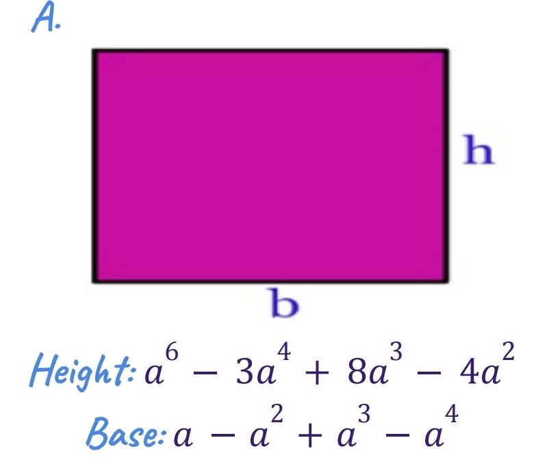 Height: a^6-3a^4+8a^3-4a^2
Base: a-a^2+a^3-a^4