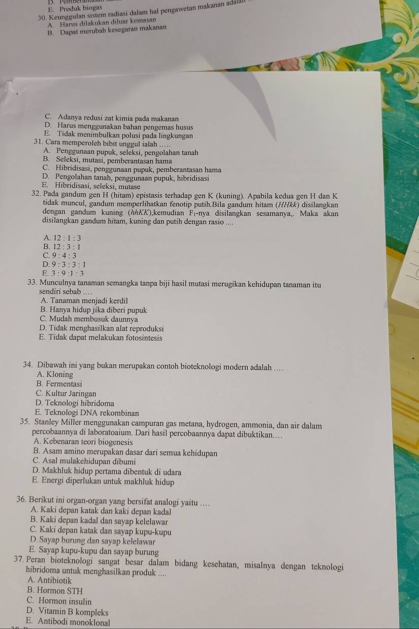 E. Produk biogas
30. Keunggulan sistem radiasi dalam hal pengawetan makanan adalall
A. Harus dilakukan diluar kemasan
B. Dapat merubah kesegaran makanan
C. Adanya redusi zat kimia pada makanan
D. Harus menggunakan bahan pengemas husus
E. Tidak menimbulkan polusi pada lingkungan
31. Cara memperoleh bibit unggul ialah .….
A. Penggunaan pupuk, seleksi, pengolahan tanah
B. Seleksi, mutasi, pemberantasan hama
C. Hibridisasi, penggunaan pupuk, pemberantasan hama
D. Pengolahan tanah, penggunaan pupuk, hibridisasi
E. Hibridisasi, seleksi, mutase
32. Pada gandum gen H (hitam) epistasis terhadap gen K (kuning). Apabila kedua gen H dan K
tidak muncul, gandum memperlihatkan fenotip putih.Bila gandum hitam (HHkk) disilangkan
dengan gandum kuning (hhKK),kemudian Fı-nya disilangkan sesamanya,. Maka akan
disilangkan gandum hitam, kuning dan putih dengan rasio ....
A. 12:1:3
B. 12:3:1
C. 9:4:3
D. 9:3:3:1
E 3:9:1:3
33. Munculnya tanaman semangka tanpa biji hasil mutasi merugikan kehidupan tanaman itu
sendiri sebab
A. Tanaman menjadi kerdil
B. Hanya hidup jika diberi pupuk
C. Mudah membusuk daunnya
D. Tidak menghasilkan alat reproduksi
E. Tidak dapat melakukan fotosintesis
34. Dibawah ini yang bukan merupakan contoh bioteknologi modern adalah …
A. Kloning
B. Fermentasi
C. Kultur Jaringan
D. Teknologi hibridoma
E. Teknologi DNA rekombinan
35. Stanley Miller menggunakan campuran gas metana, hydrogen, ammonia, dan air dalam
percobaannya di laboratoaium. Dari hasil percobaannya dapat dibuktikan..
A. Kebenaran teori biogenesis
B. Asam amino merupakan dasar dari semua kehidupan
C. Asal mulakehidupan dibumi
D. Makhluk hidup pertama dibentuk di udara
E. Energi diperlukan untuk makhluk hidup
36. Berikut ini organ-organ yang bersifat analogi yaitu …
A. Kaki depan katak dan kaki depan kadal
B. Kaki depan kadal dan sayap kelelawar
C. Kaki depan katak dan sayap kupu-kupu
D. Sayap burung dan sayap kelelawar
E. Sayap kupu-kupu dan sayap burung
37. Peran bioteknologi sangat besar dalam bidang kesehatan, misalnya dengan teknologi
hibridoma untuk menghasilkan produk ....
A. Antibiotik
B. Hormon STH
C. Hormon insulin
D. Vitamin B kompleks
E. Antibodi monoklonal