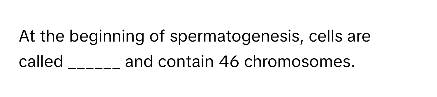 At the beginning of spermatogenesis, cells are called ______ and contain 46 chromosomes.