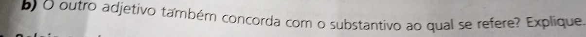 outro adjetivo também concorda com o substantivo ao qual se refere? Explique.