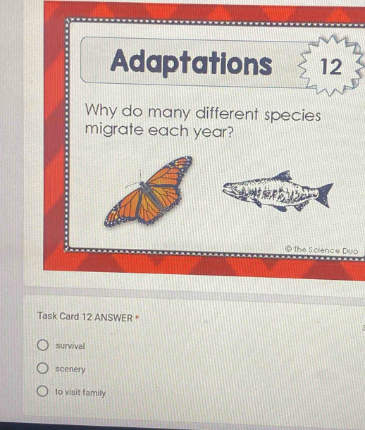 Adaptations 12
Why do many different species
migrate each year?
The Science Duo
Task Card 12 ANSWER *
survival
scenery
to visit family