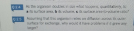 As the organism doubles in size what happens, quantitatively, to 
a its surface area, b its volume, c its surface area-to-volume ratio? 
Q 2.5 Assuming that this organism relies on diffusion across its outer 
surface for exchange, why would it have problems if it grew any 
larger?